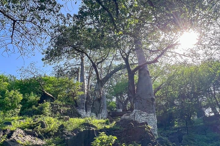 East Dhofar Hidden Natural Wonders and Mountain Safari