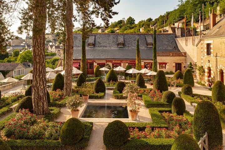 Chateaux Da Vinci Clos Lucé, Chaumont, Blois Private from Paris