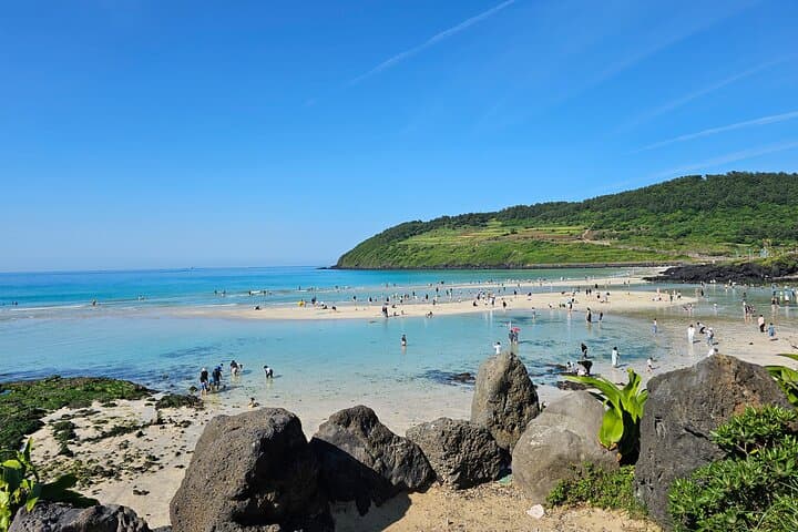 Small group Jeju private Full-Day Tour of East and South and West