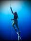 The Dancing Mermaid, llc