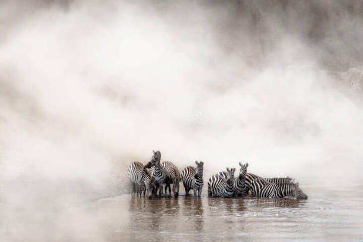7-Day Group to Maasai Mara, Lake Naivasha, Amboseli from Nairobi