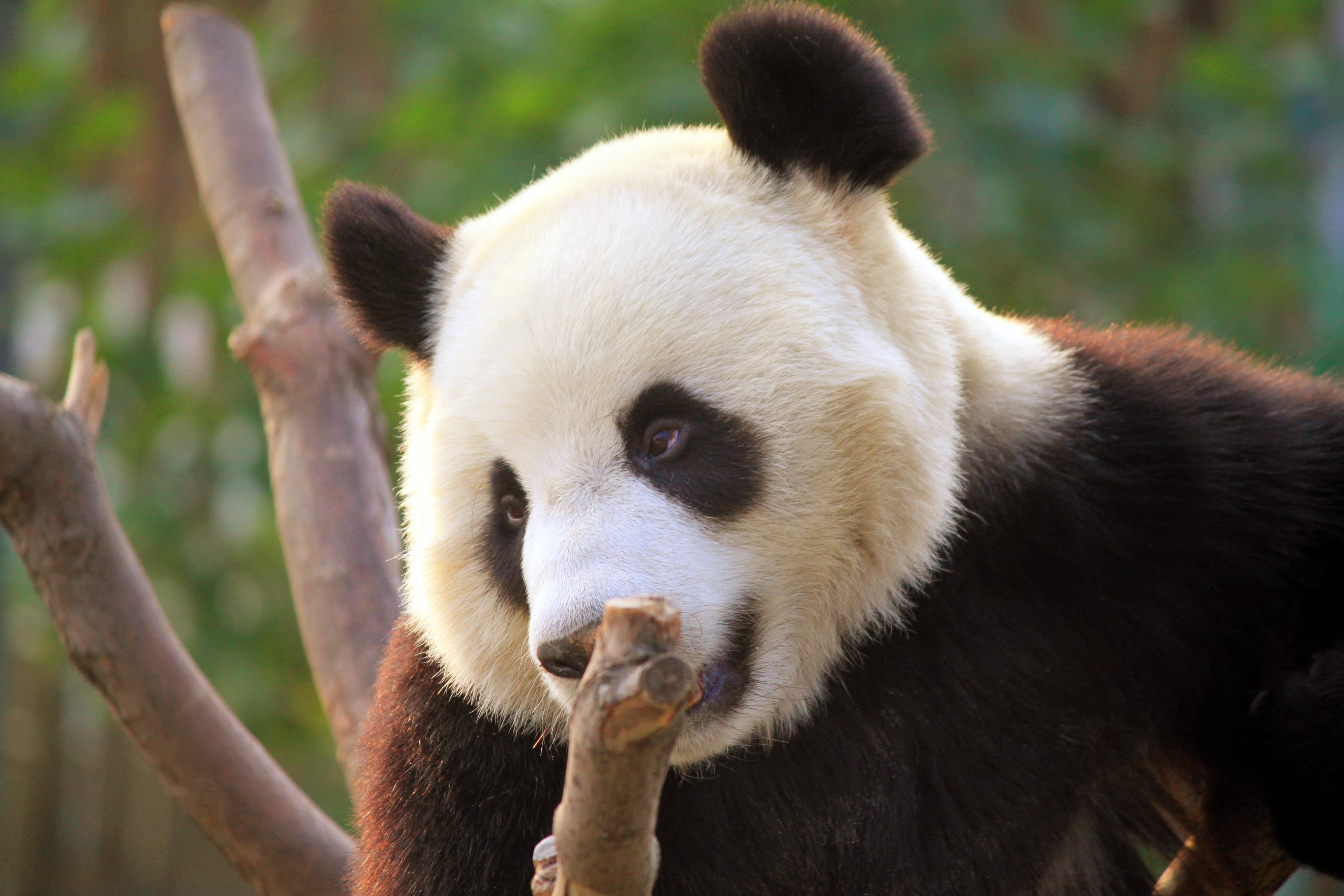 Classic 3-Day Beijing Private Tour: Beijing Essentials