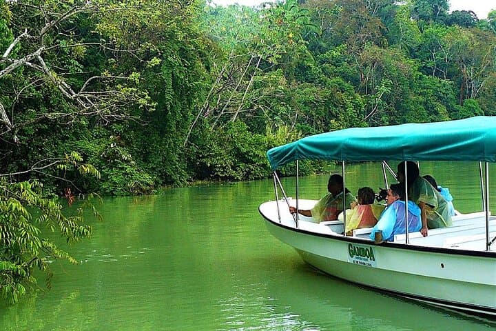 Gatun Lake Boat Adventure from Panama City