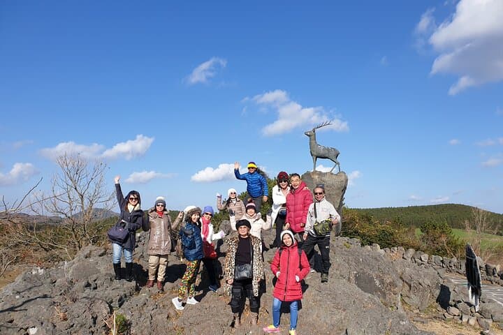 3 days Private Taxi Tour in Jeju Island 