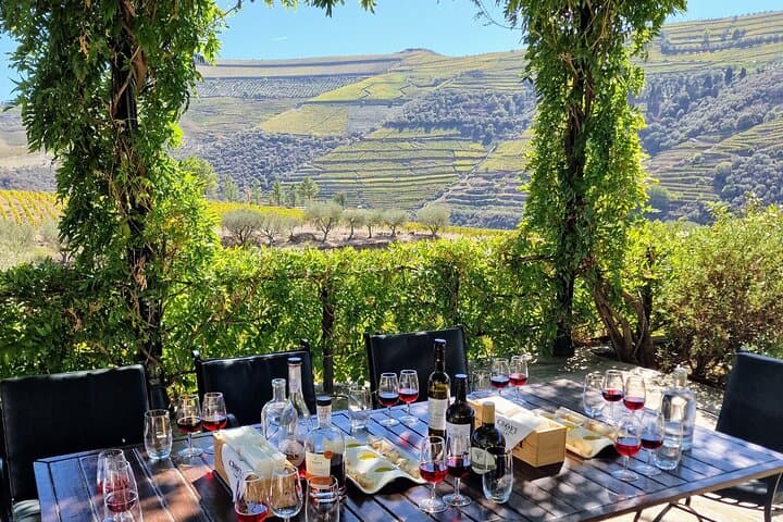 Douro Valley-Expert Guide-Boat-Lunch-Tastings-Offer wine bottle