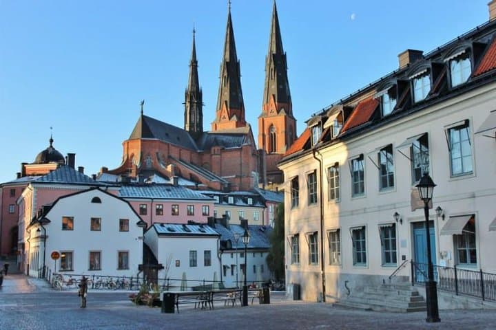 ROYAL Uppsala and VIKING Sigtuna PRIVATE Tour