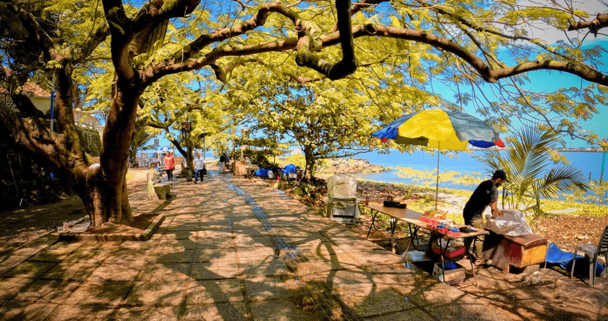 Discover Kochi’s Heritage: Full-Day AC Car Tour