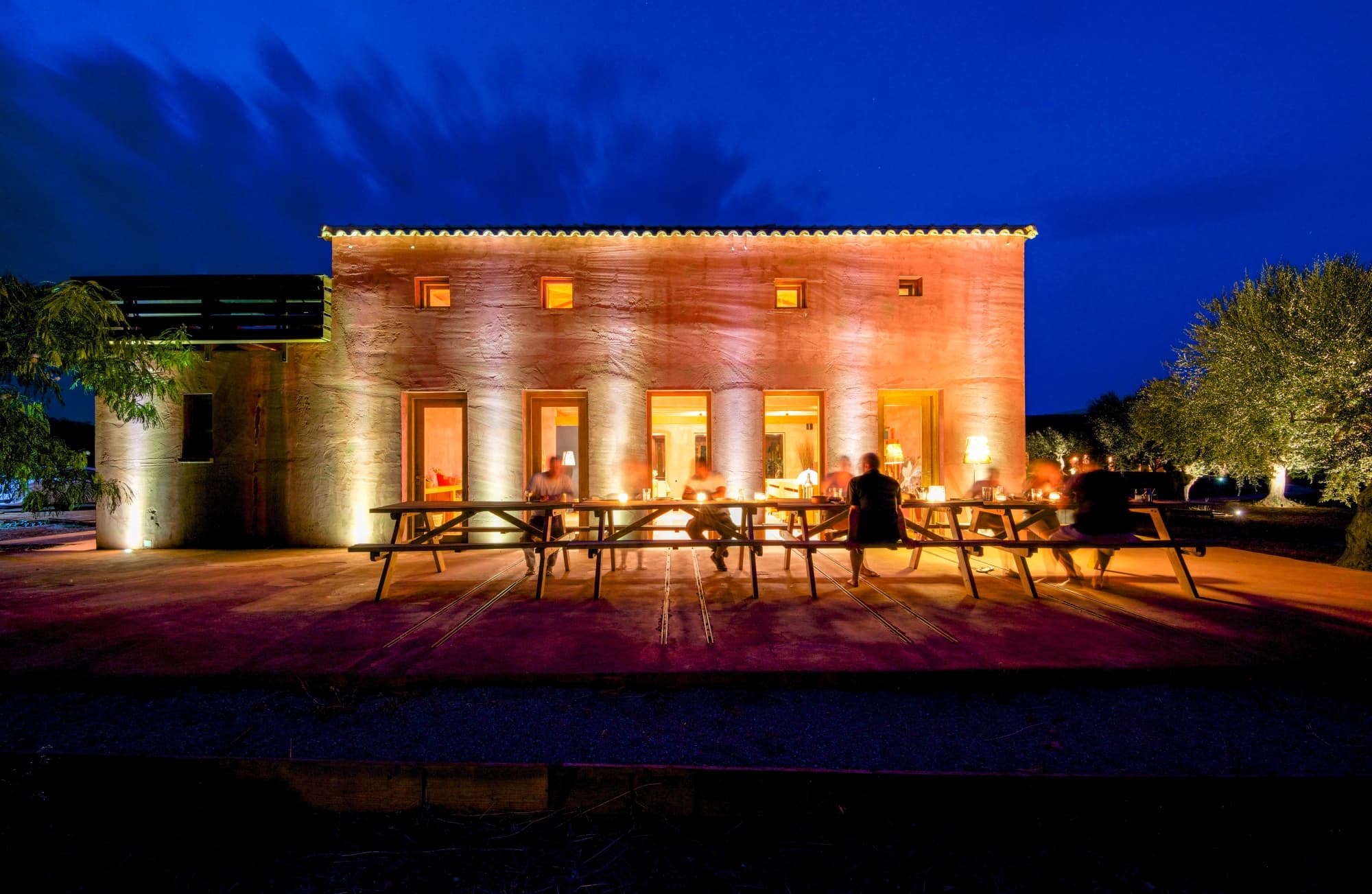 Dinning amongst olive groves: Farm-fresh flavors at your table