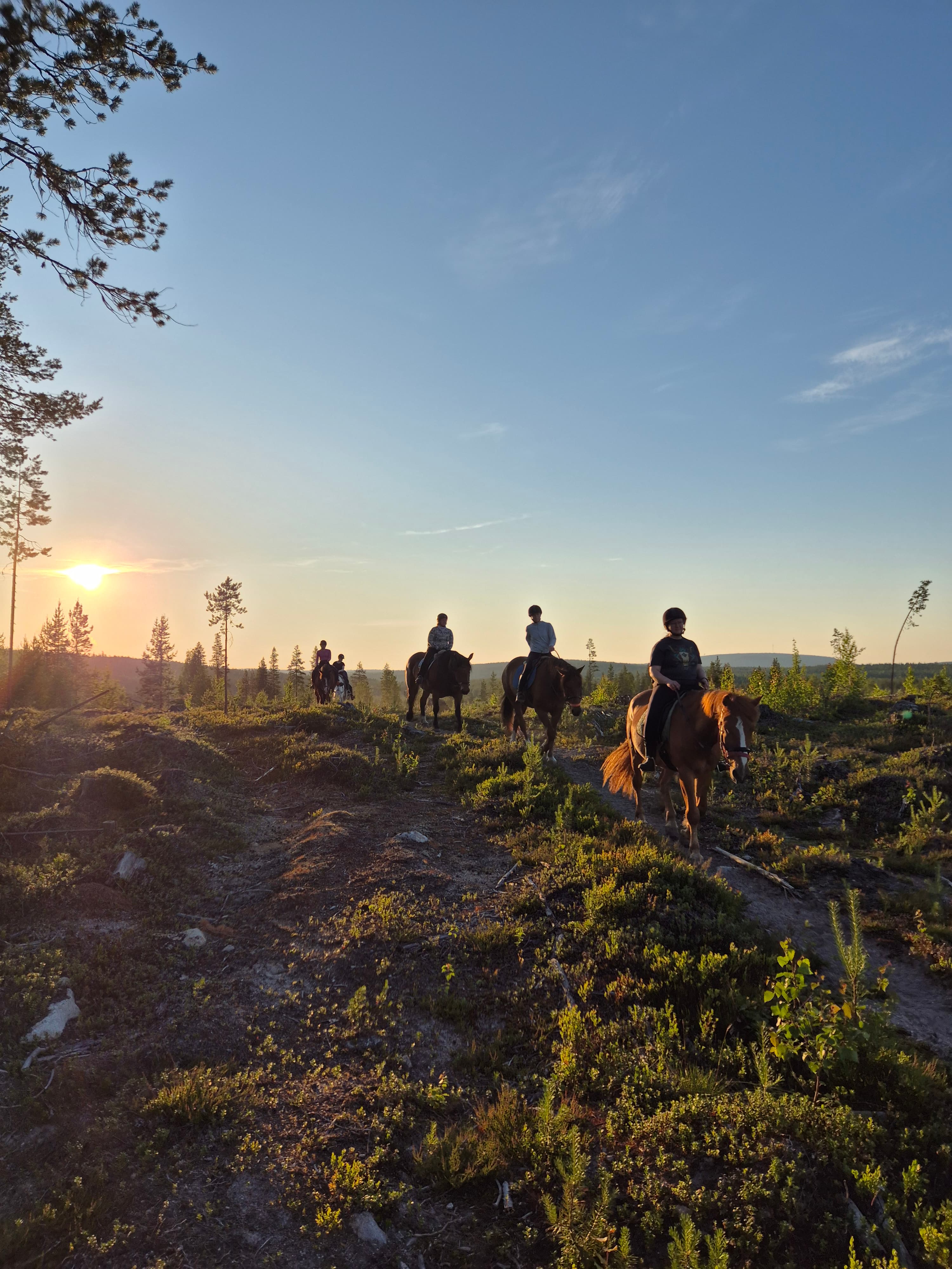 Midnight sun riding to the hill 2h