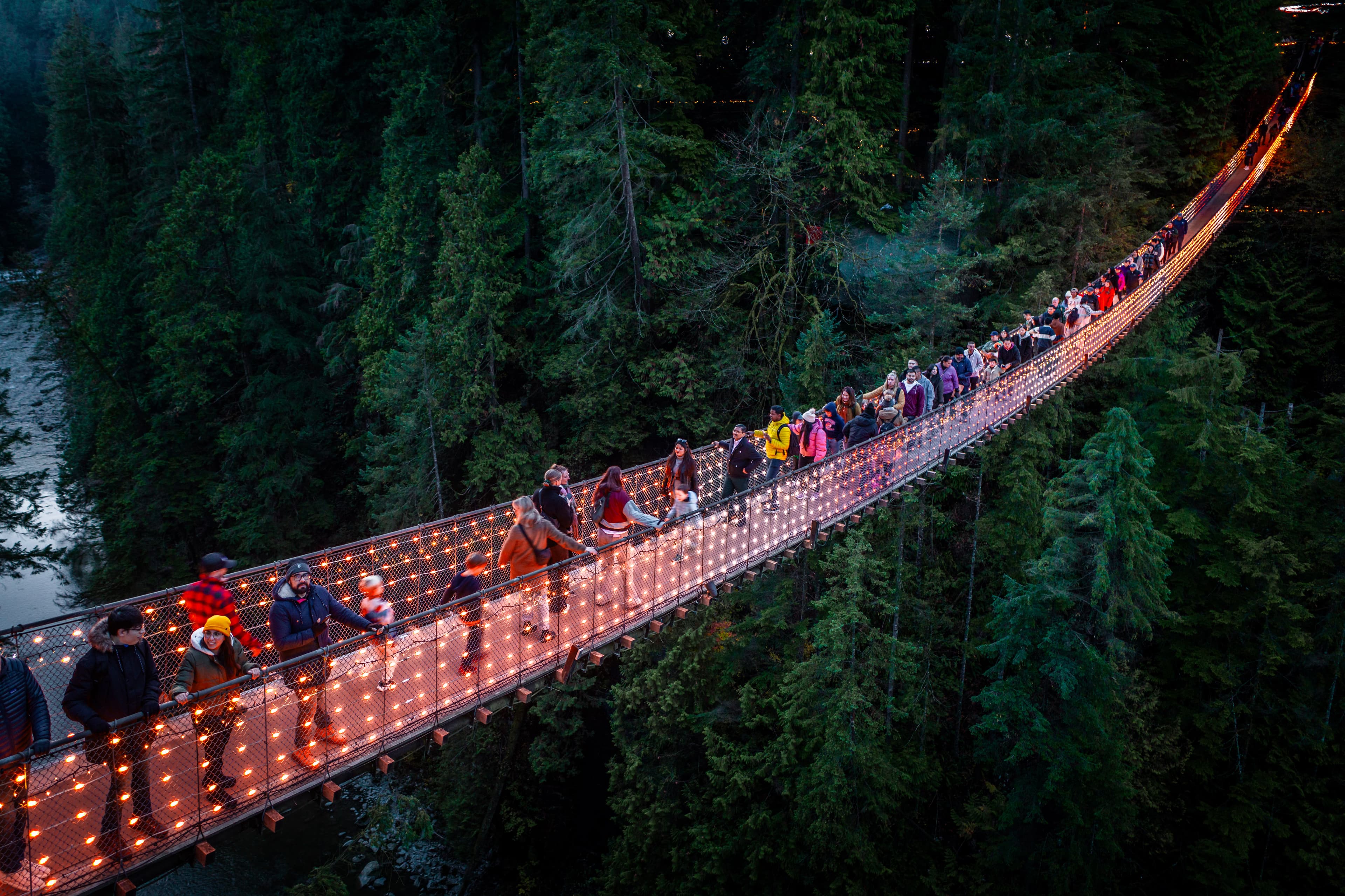 Private Tour: Capilano Suspension Bridge, Granville Island, Capilano Hatchery, Capilano Lush Rainforest & Lynn Canyon 