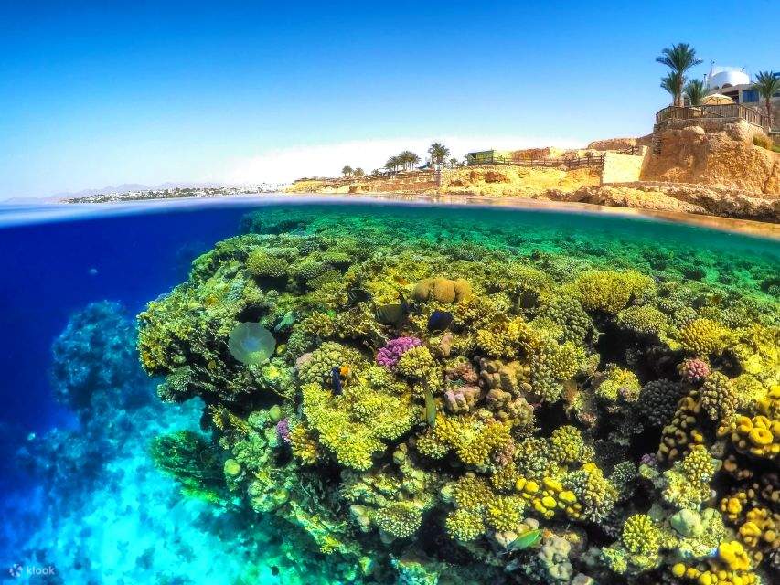 Sharm El Naga Snorkeling Trip from Hurghada – Coral Reef & Beach Relaxation