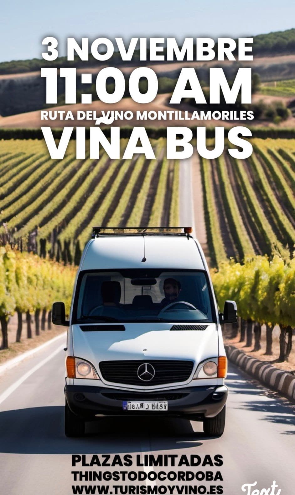 Viñabus Ruta del Vino Montilla-Moriles