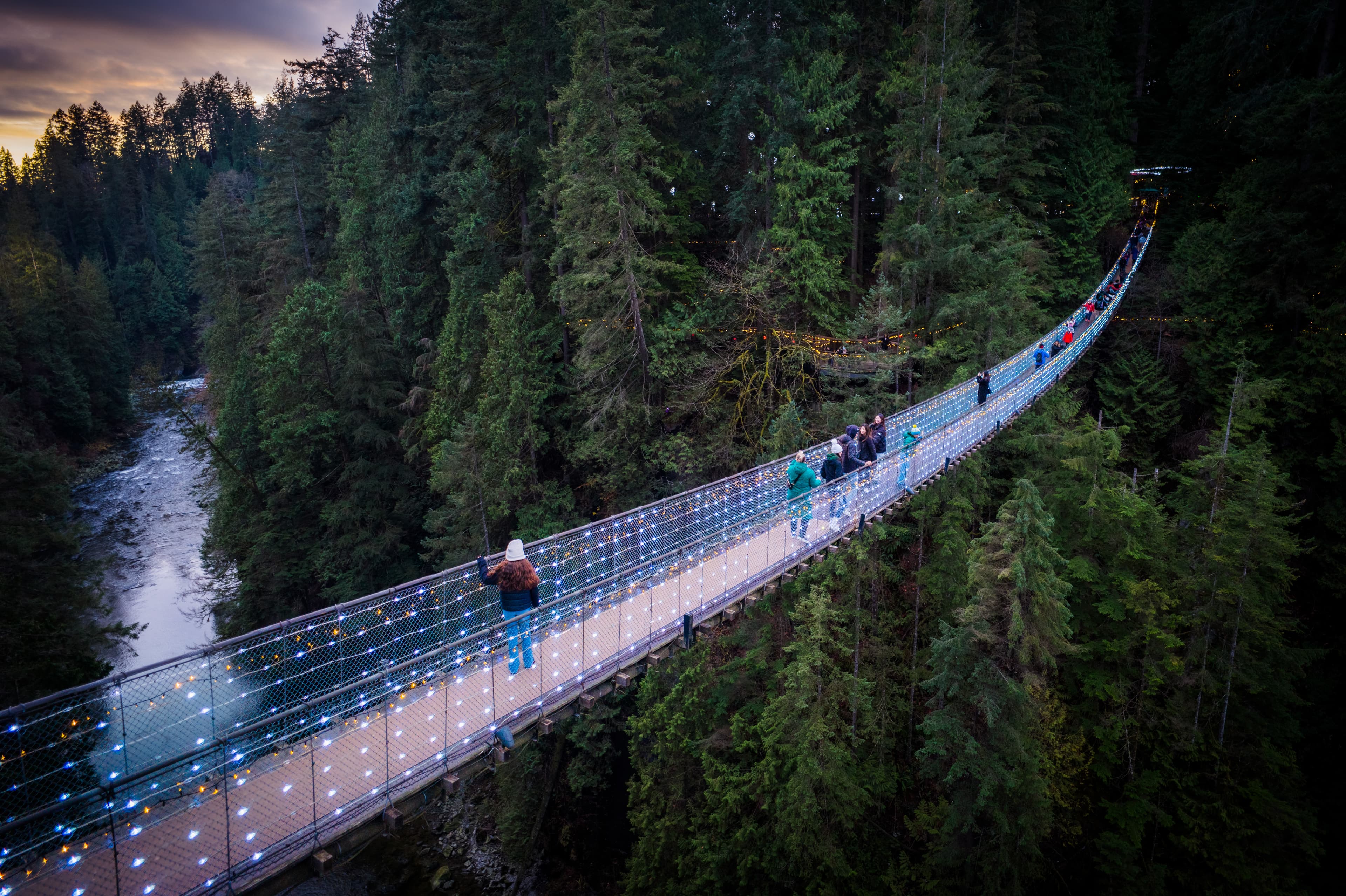 Capilano Suspension Bridge, Stanley Park, Capilano Regional Park, Lynn Canyon & Capilano Hatchery Tour