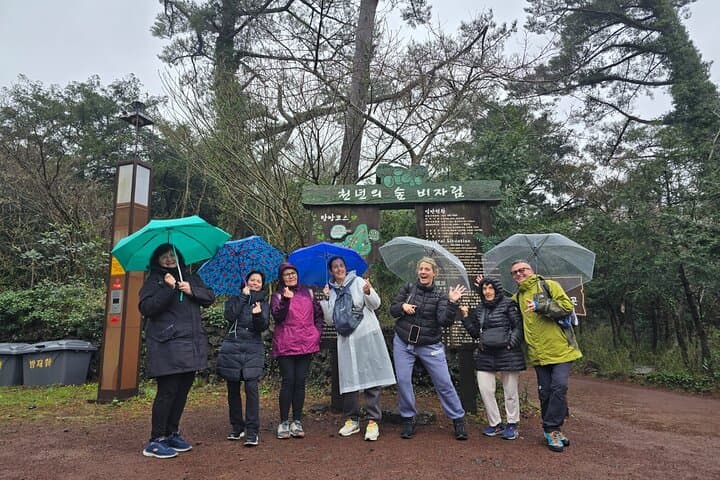 Jeju Private Half-Day Tour for Cruise Customers