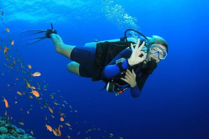 Hurghada: Full-Day Diving Tour with Lunch & Two Dive Sites