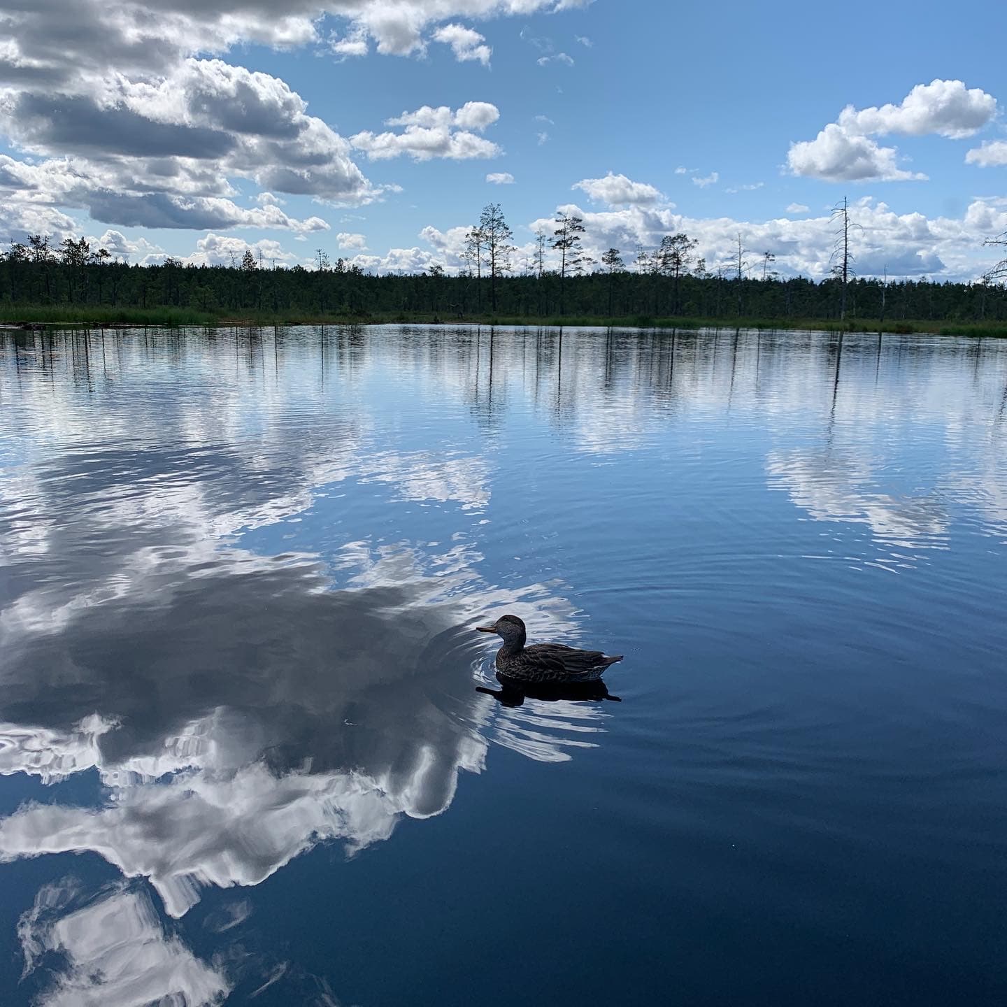 Romantic North-Coast - a day trip to the land of bays
