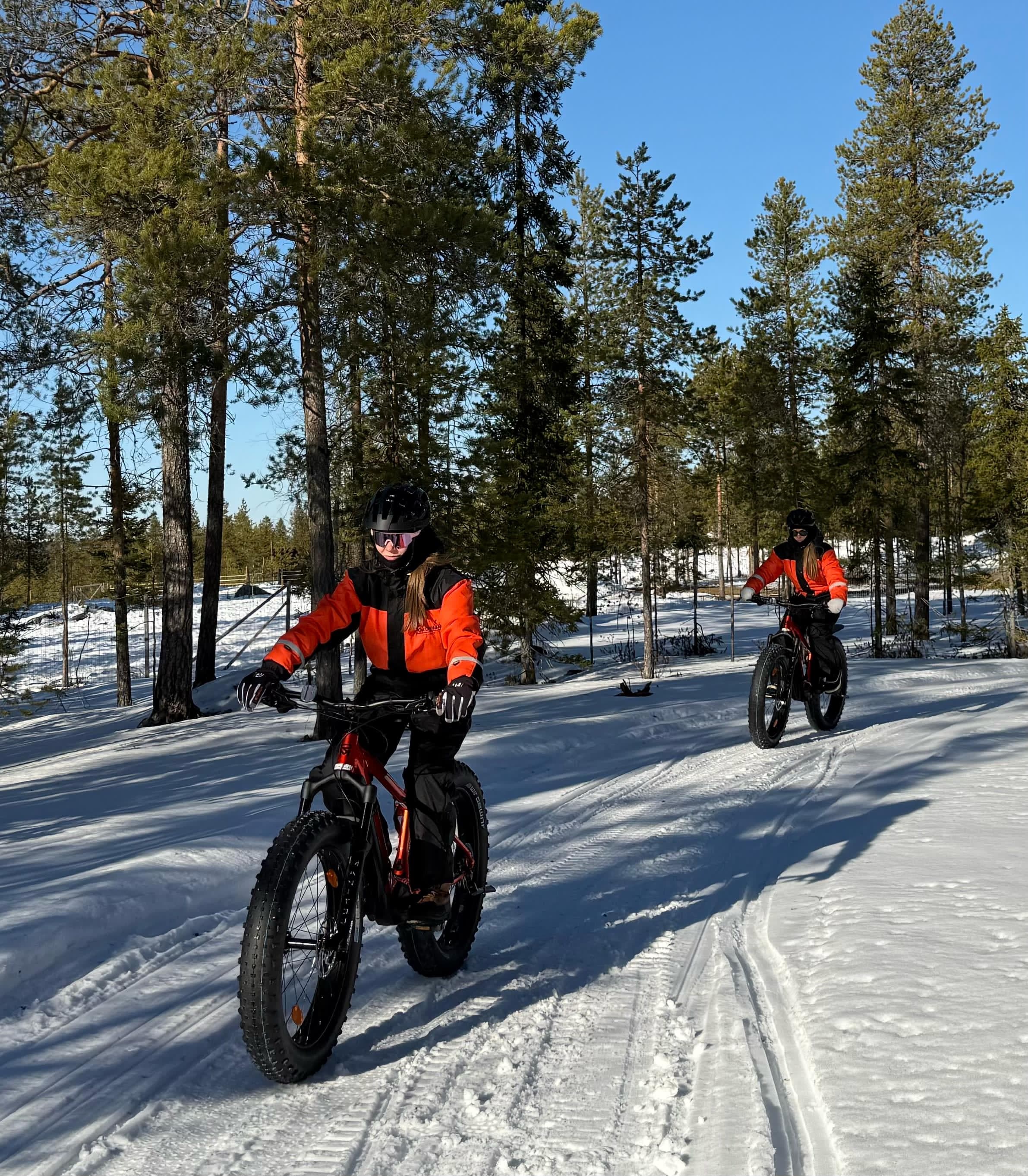 Electric Fat Biking at a Reindeer Farm in Rovaniemi