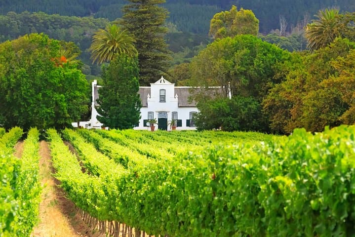Full Day Cape Winelands