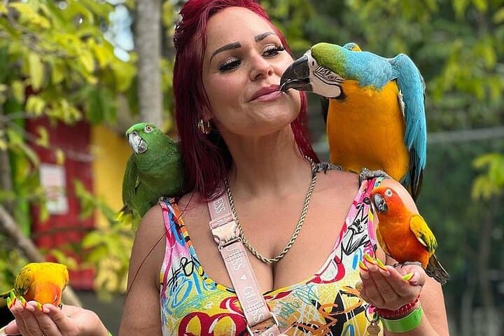 Agriculture farm and animal encounter