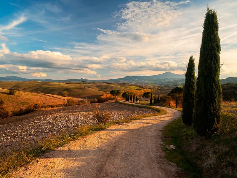 Private Tour - A Day in the Enchanting Val D'Orcia with Wine Tasting