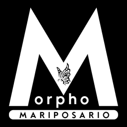 Mariposario Morpho Puerto Vallarta