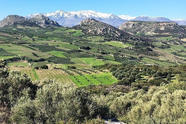 Crete: Olive Oil, Soap, Wine, Raki - Flavorful Culinary Journey