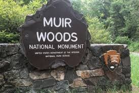 Skip The Bus: Muir Woods & Sausalito by Minivan 