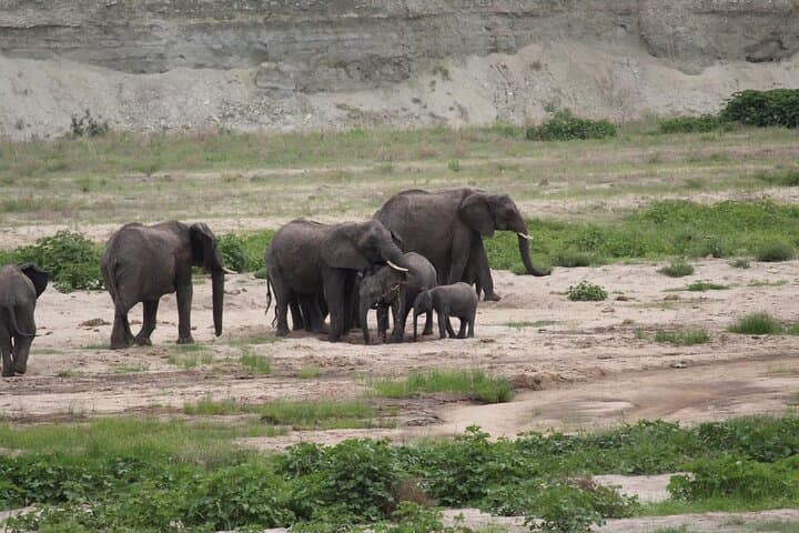 2-Day Mid-Range Safari to Tarangire & Ngorongoro Crater