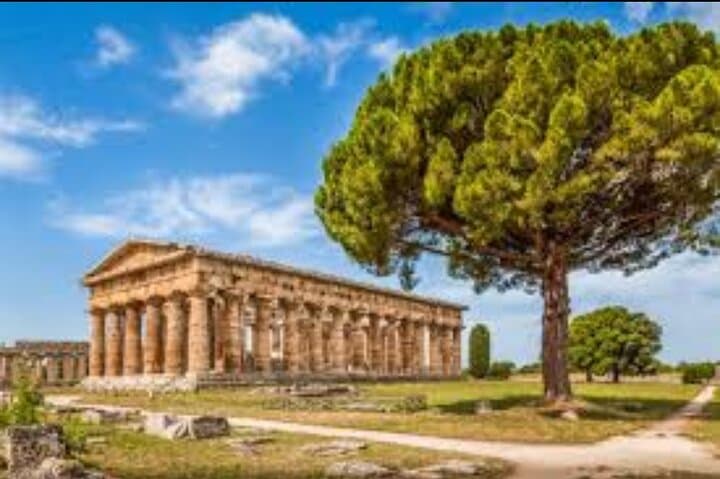 Private Tour to Paestum and Mozzarella Factory 