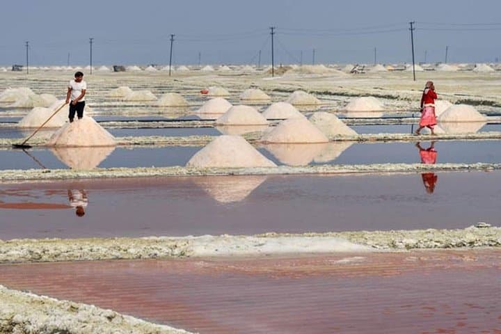 Sambhar Salt Lake day tour from Jaipur 