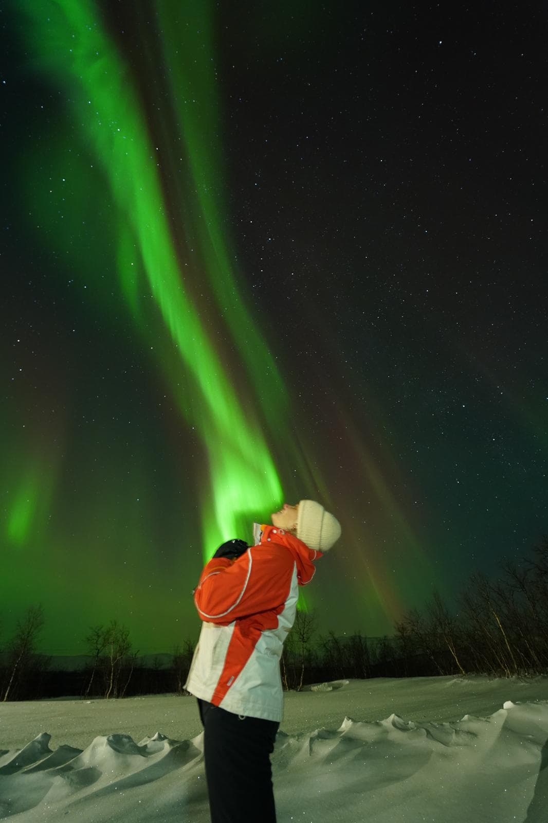 Northern Light minibus hunt to Abisko national park 7:30 pm