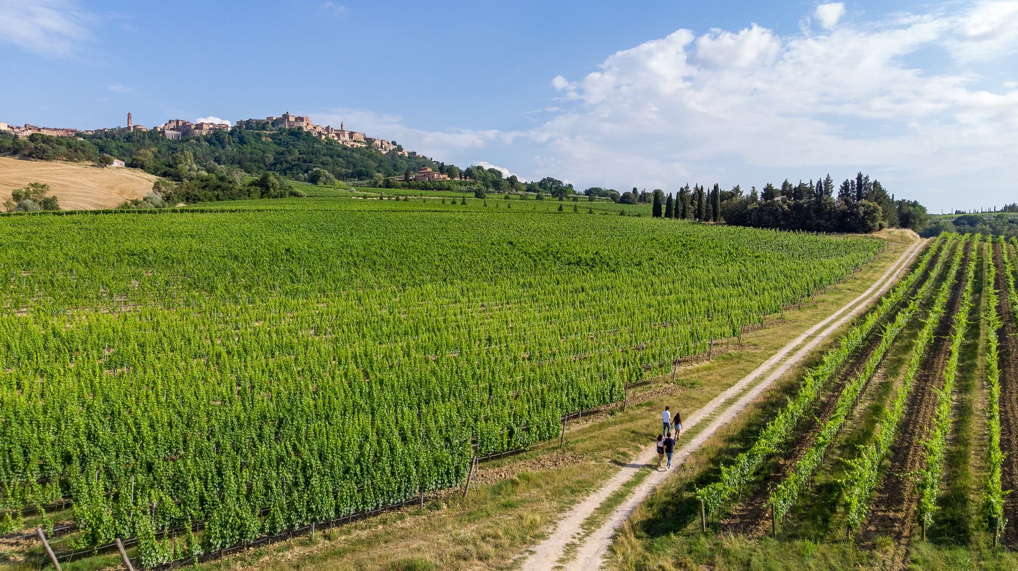 Wine lovers experience a Montepulciano, in mezza giornata