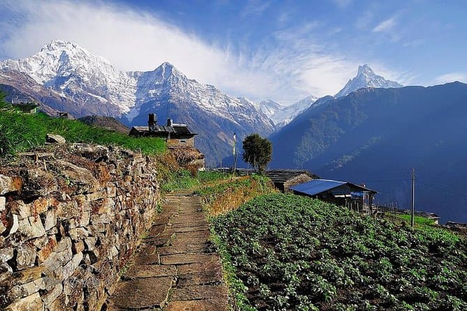 Royal Annapurna Family Trek – 9 Days of Easy Trails & Big Smiles