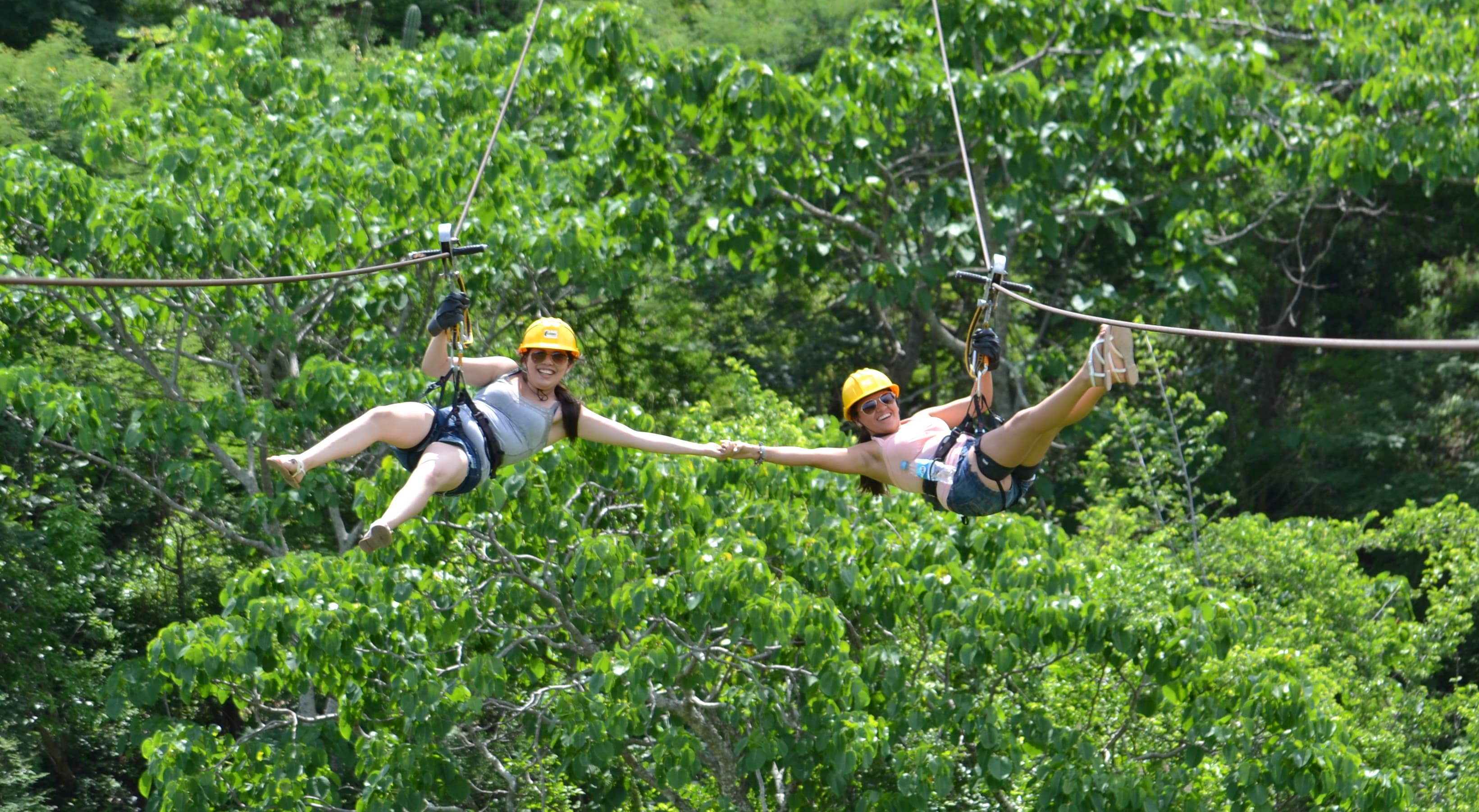 Zip Line / ATV Tour