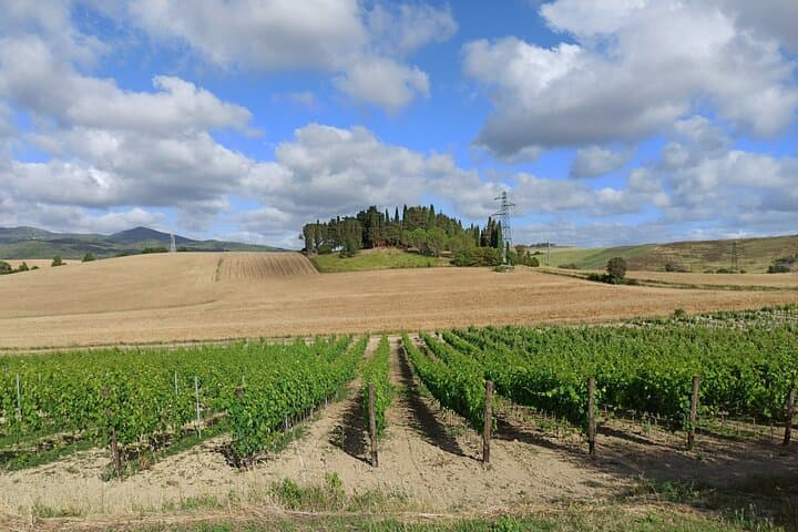 PRIVATE TOUR "Ramble through the Rolling Hills Of Chianti"+ lunch & wine tasting