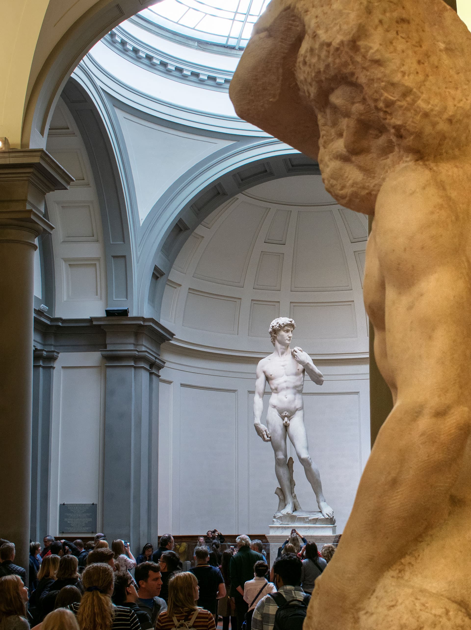 Florence: David, Pitti Palace, & Gardens Combination Tickets