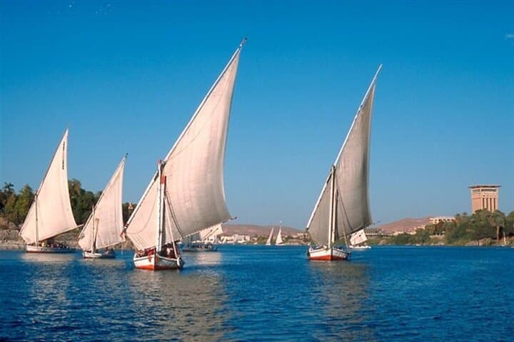 Aswan Botanical Garden Tour and Felucca Sailing Experience