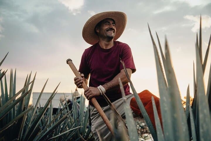 Private Tour to Tequila Ocho Distillery and the Town of Arandas