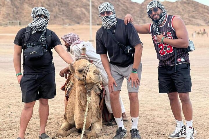 Sharm 5-in-1 Desert Safari: Quad, Camel Ride, Dinner & Stargazing