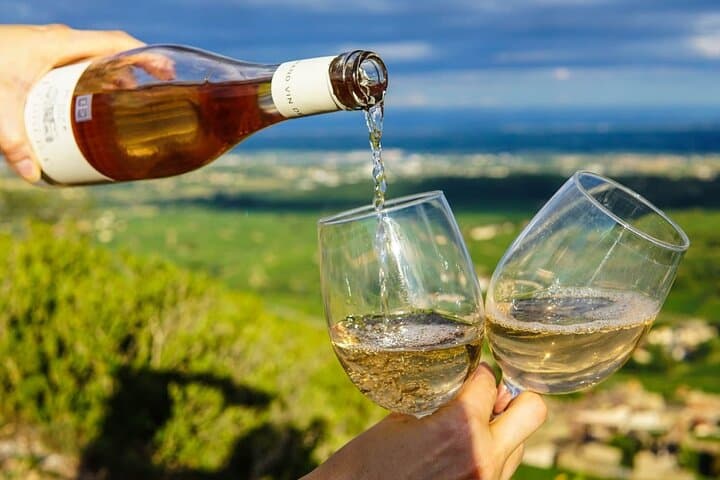 Private Wine Tasting Tour in Chablis Burgundy from Paris