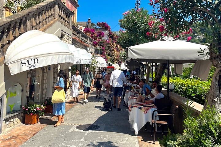Capri Full Day Tour with Tour Guide and Ferry Tickets