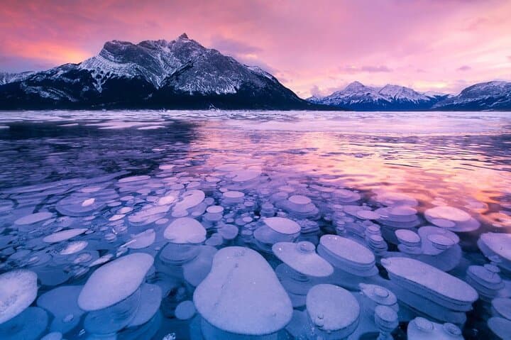 Winter Tour Peyto Lake Ice Bubbles at Abraham Lake Frozen Trip