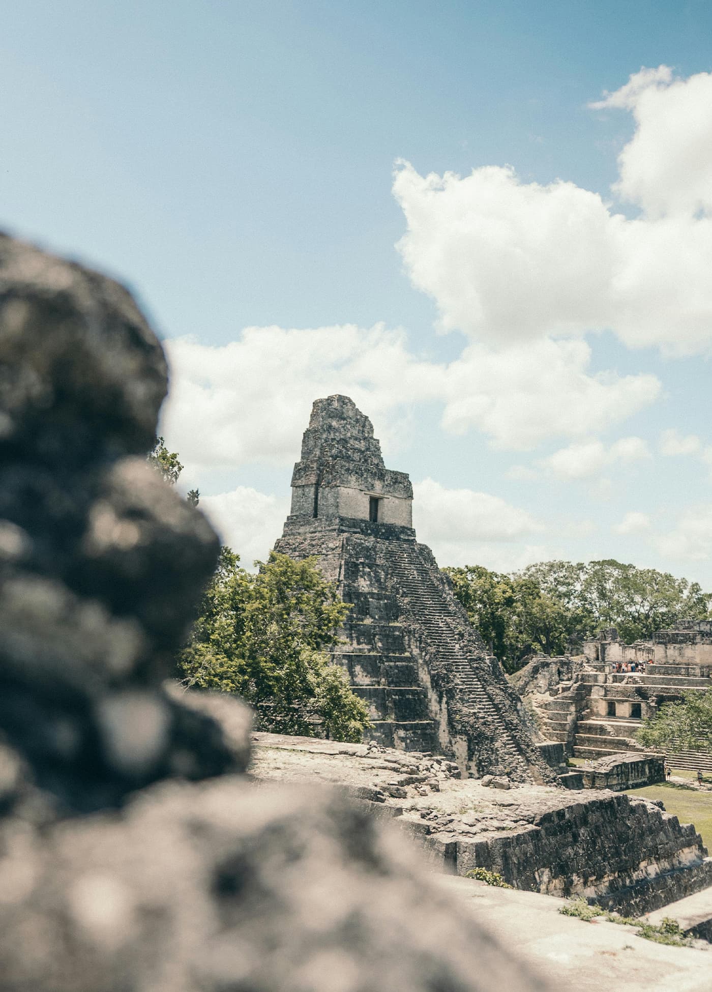 Tikal Maya Temples Day Trip with Lunch from San Ignacio