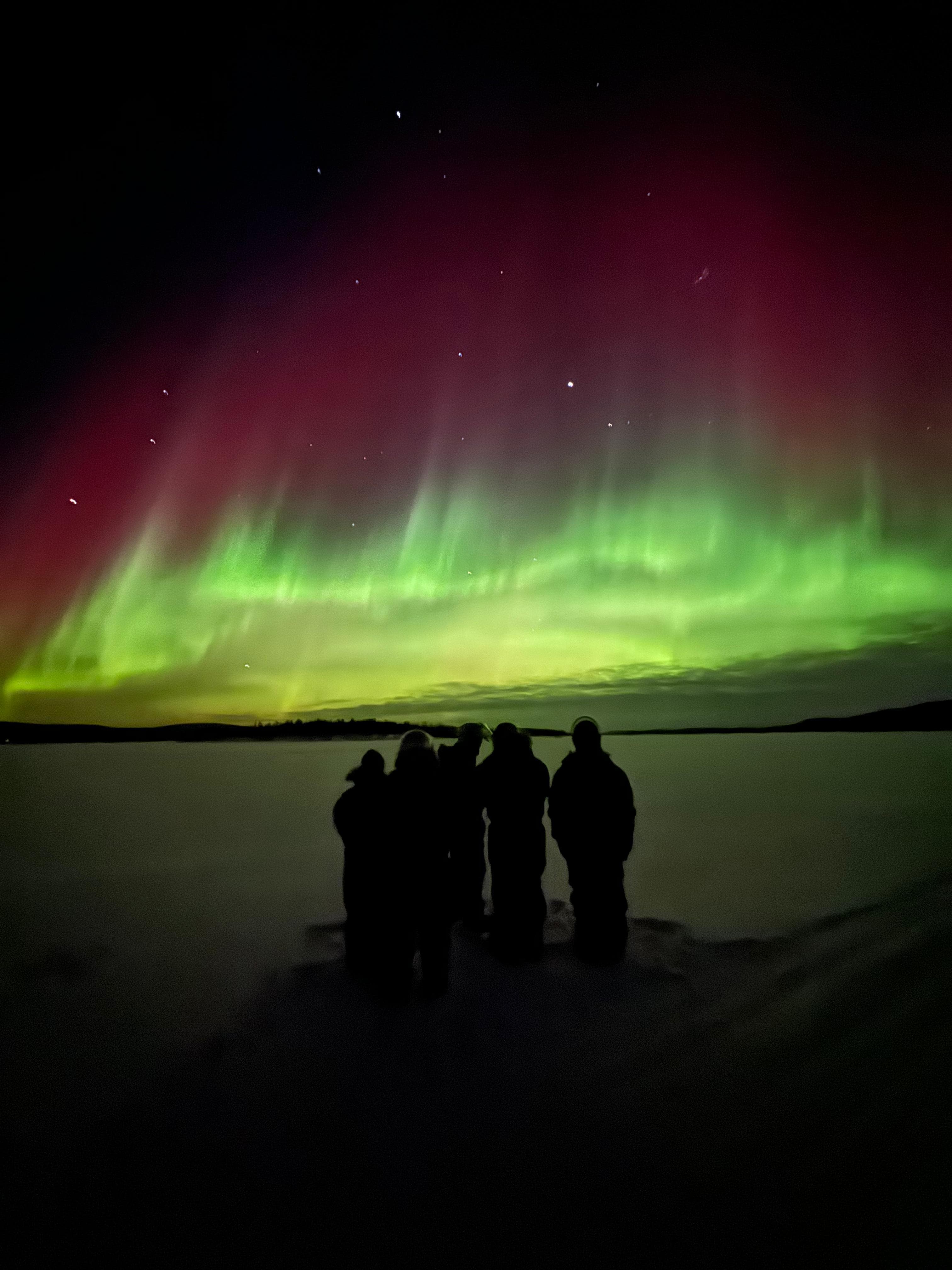 From Ivalo: Northern Lights Tour to Lake Inari with Dinner, meet & feed reindeers