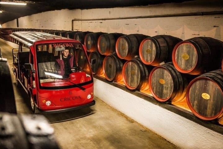 CRICOVA Winery tour with tasting from Chisinau