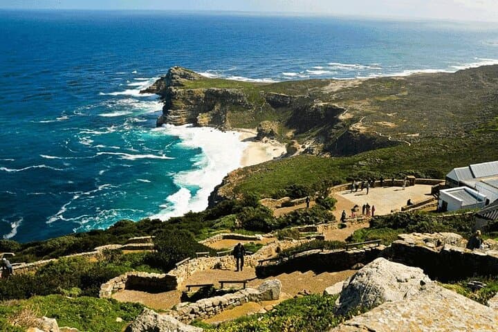 Explore Table Mountain, Meet Penguins and Discover Cape Point