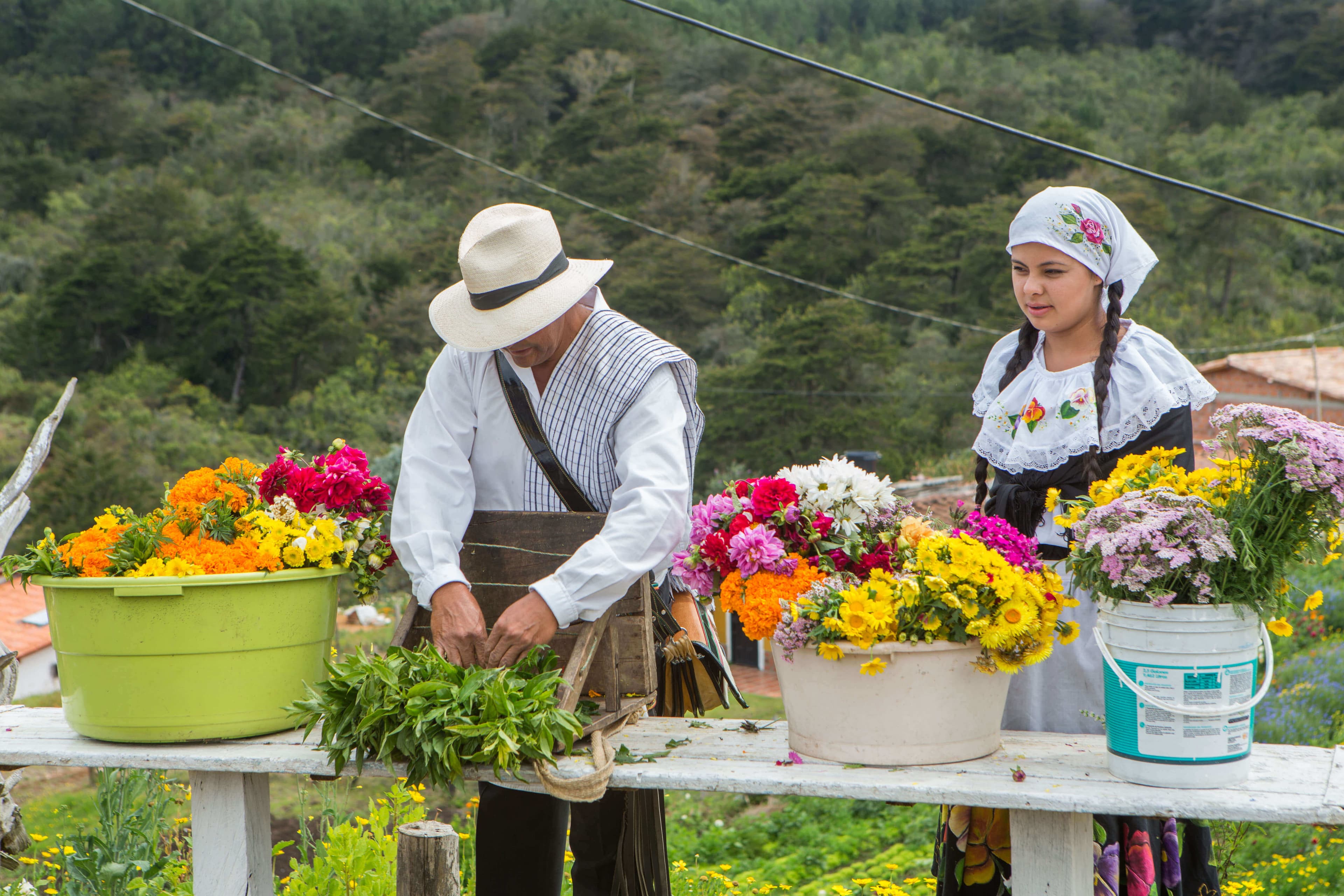 Tour de Silleteros Compartido  en la Finca El Pensamiento 