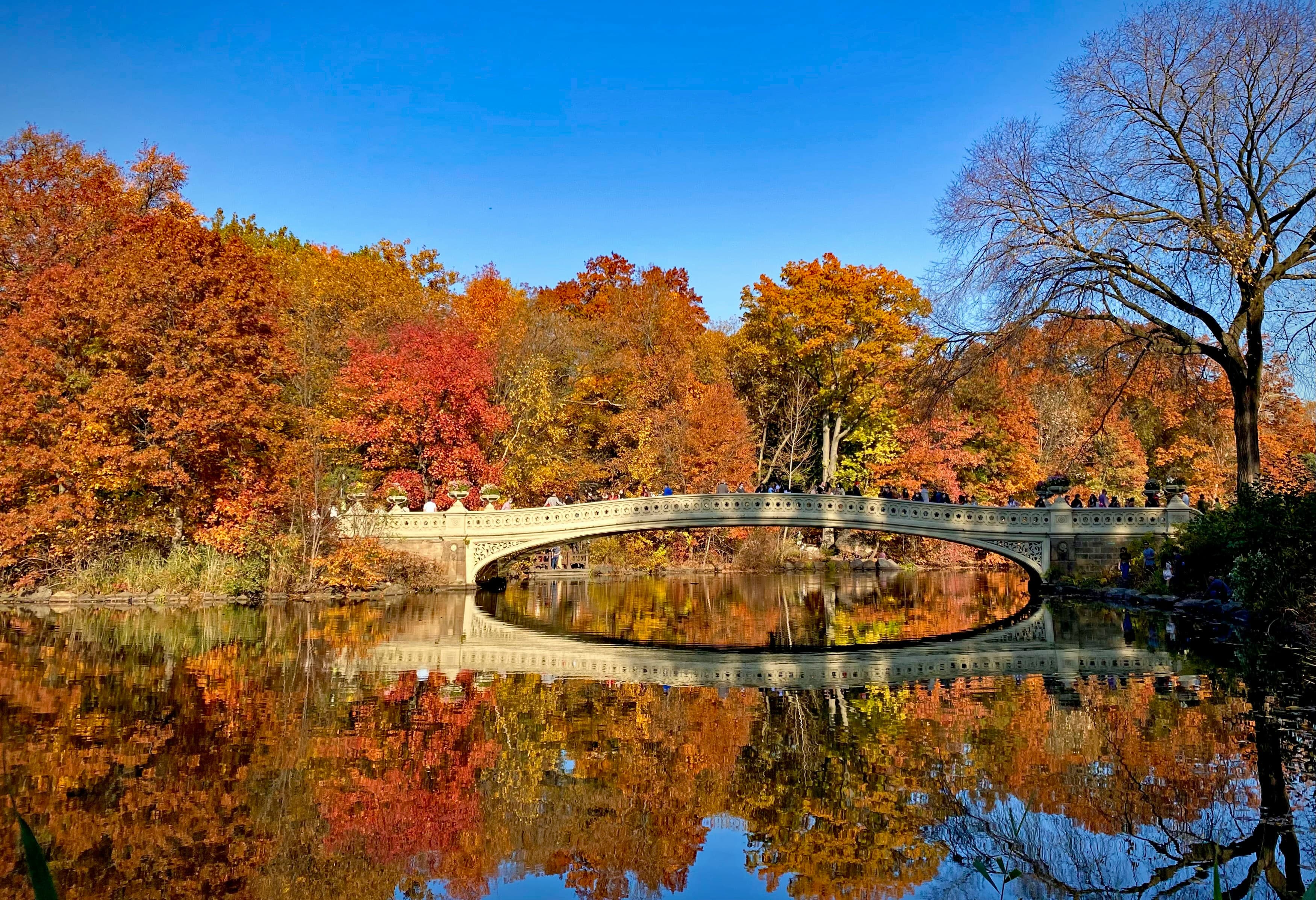 New York: Manhattan Highlights - Central Park & Rich areas