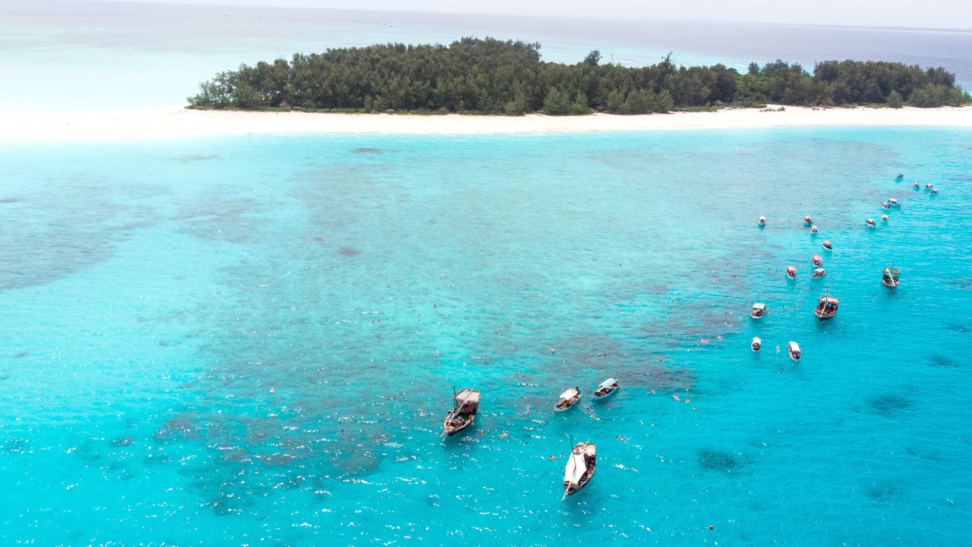 Mnemba Island Snorkeling  Tour