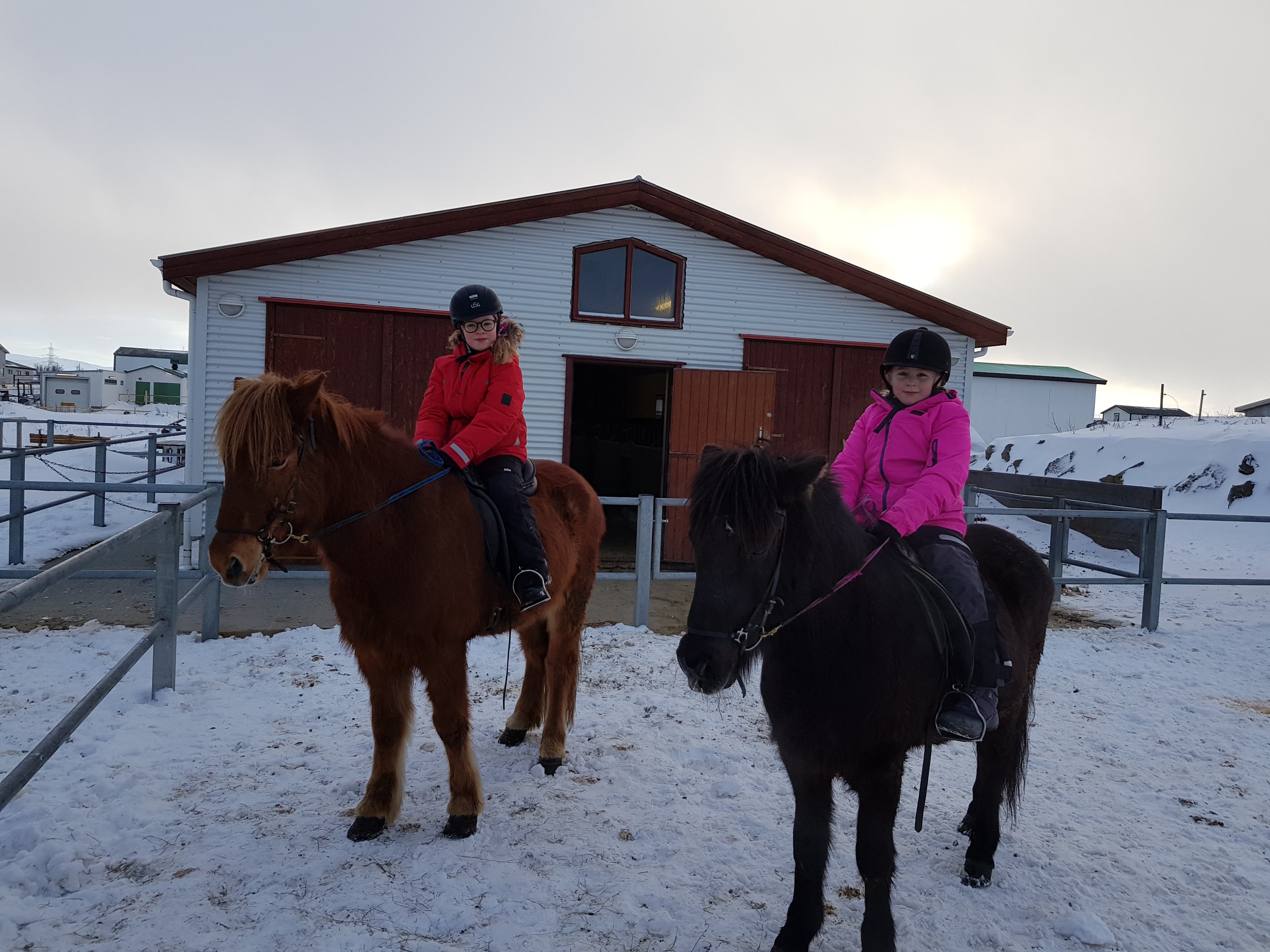 1 Hour - Winter Red lava Tour (With or Without Pick Up) 